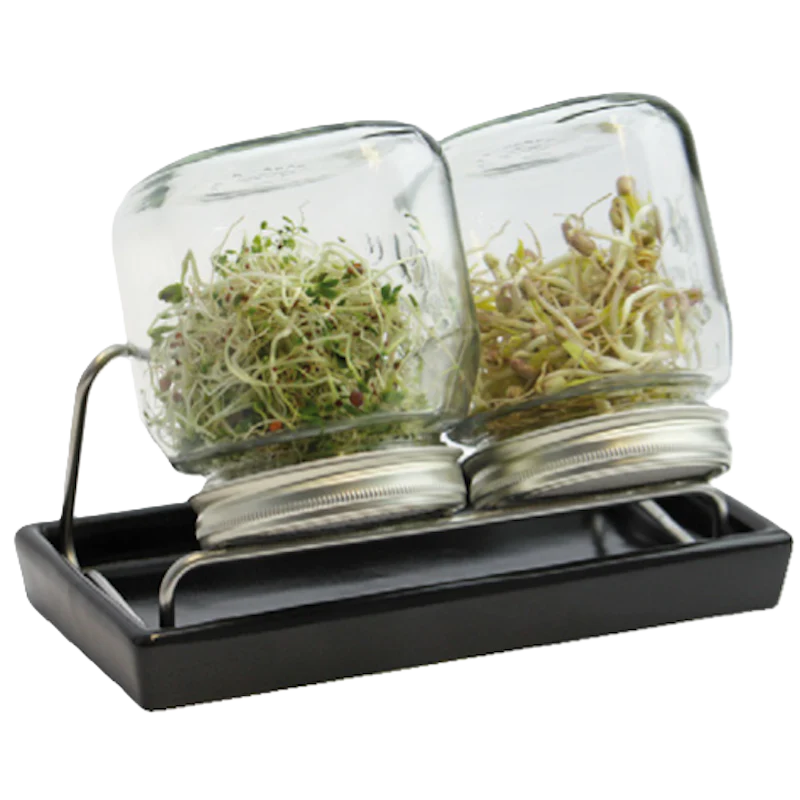 Sprossenglas-Set 2 x 750 ml Schale Anthrazit, Sieb und Edelstahl-Ständer, Bio-Probesaat