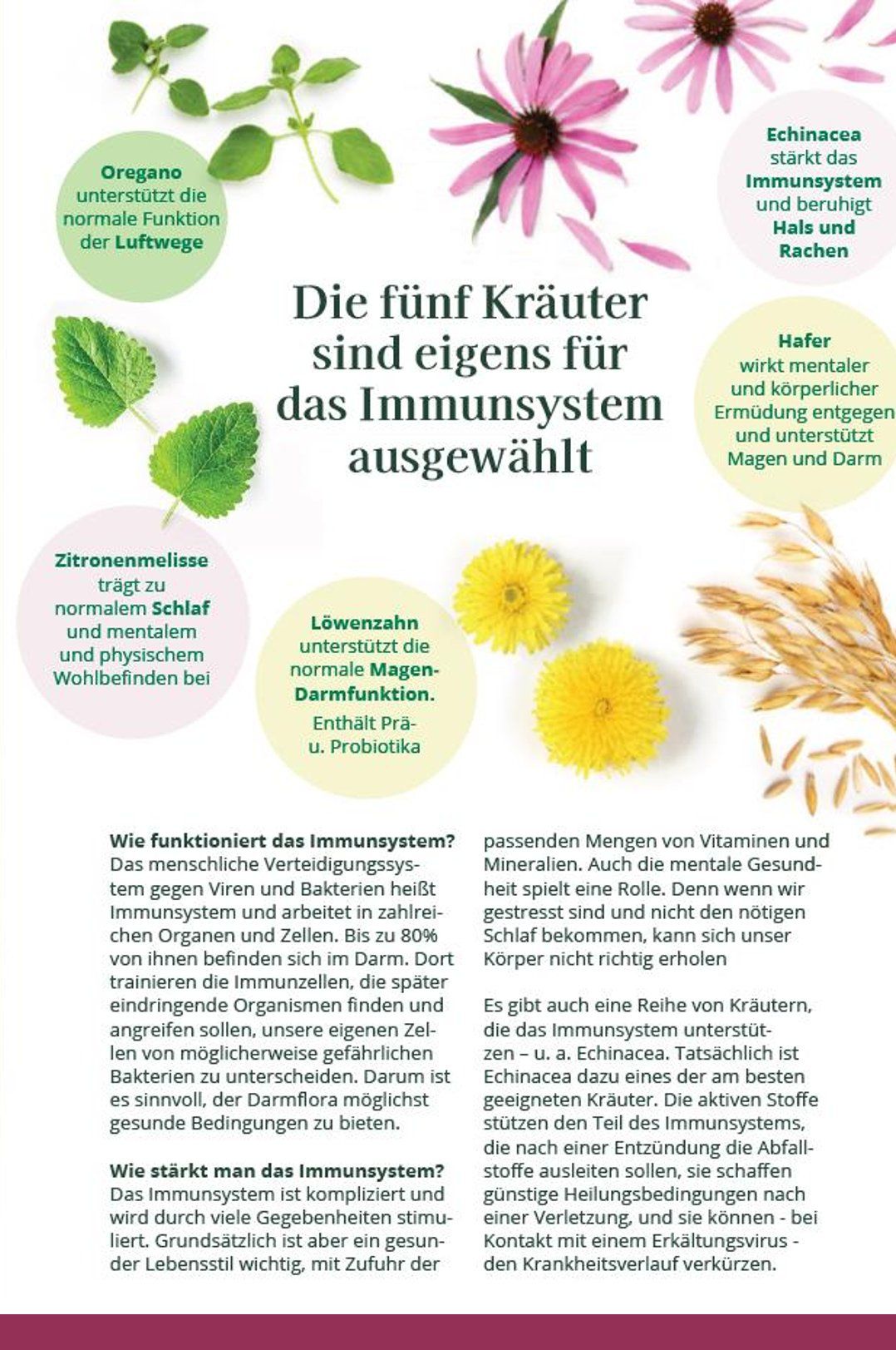 REGOMUN, 800 ml, Echinacea-Extrakt BIO