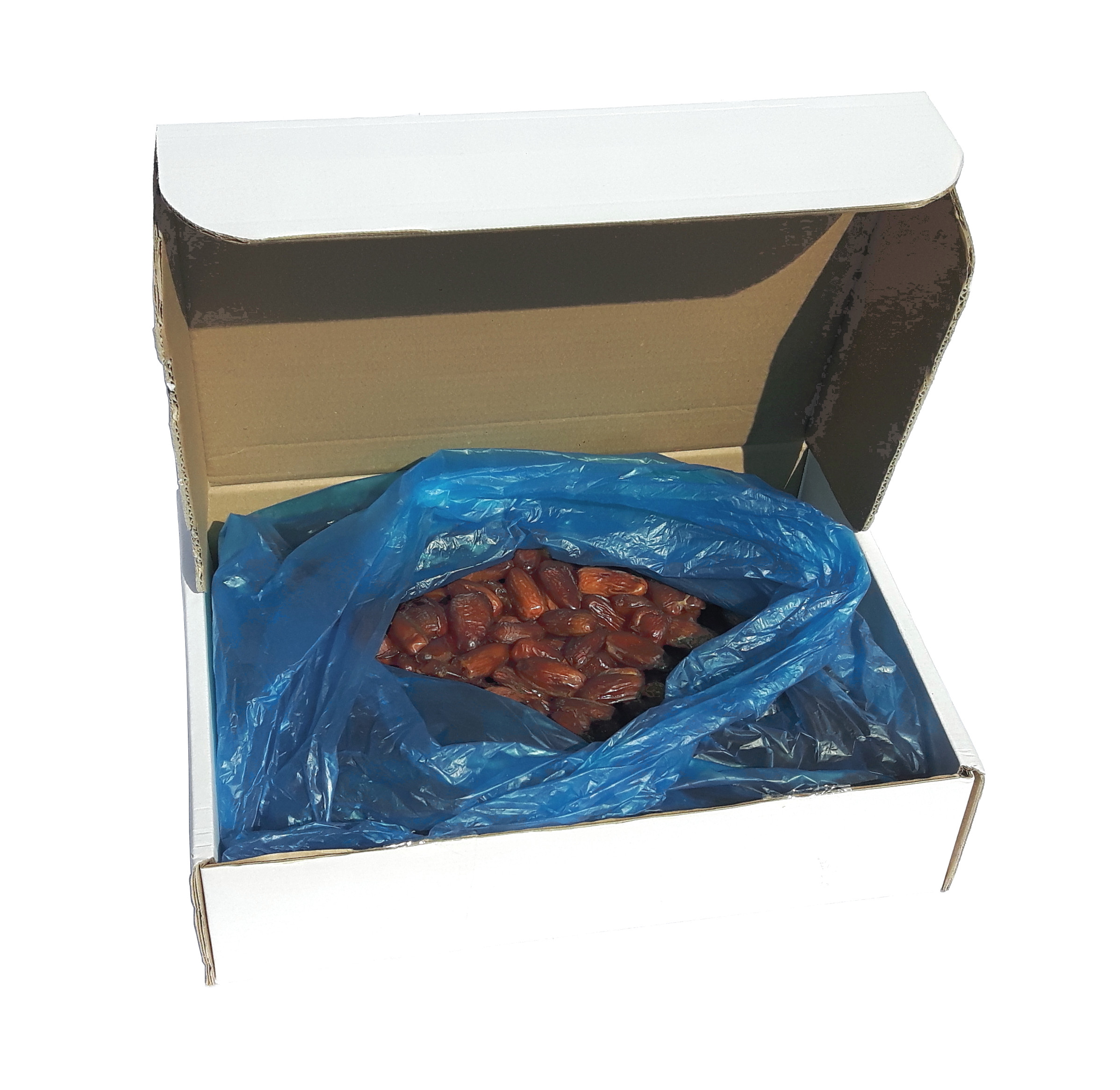 Datteln BIO, 5 kg (Deglet Nour) ohne Stein