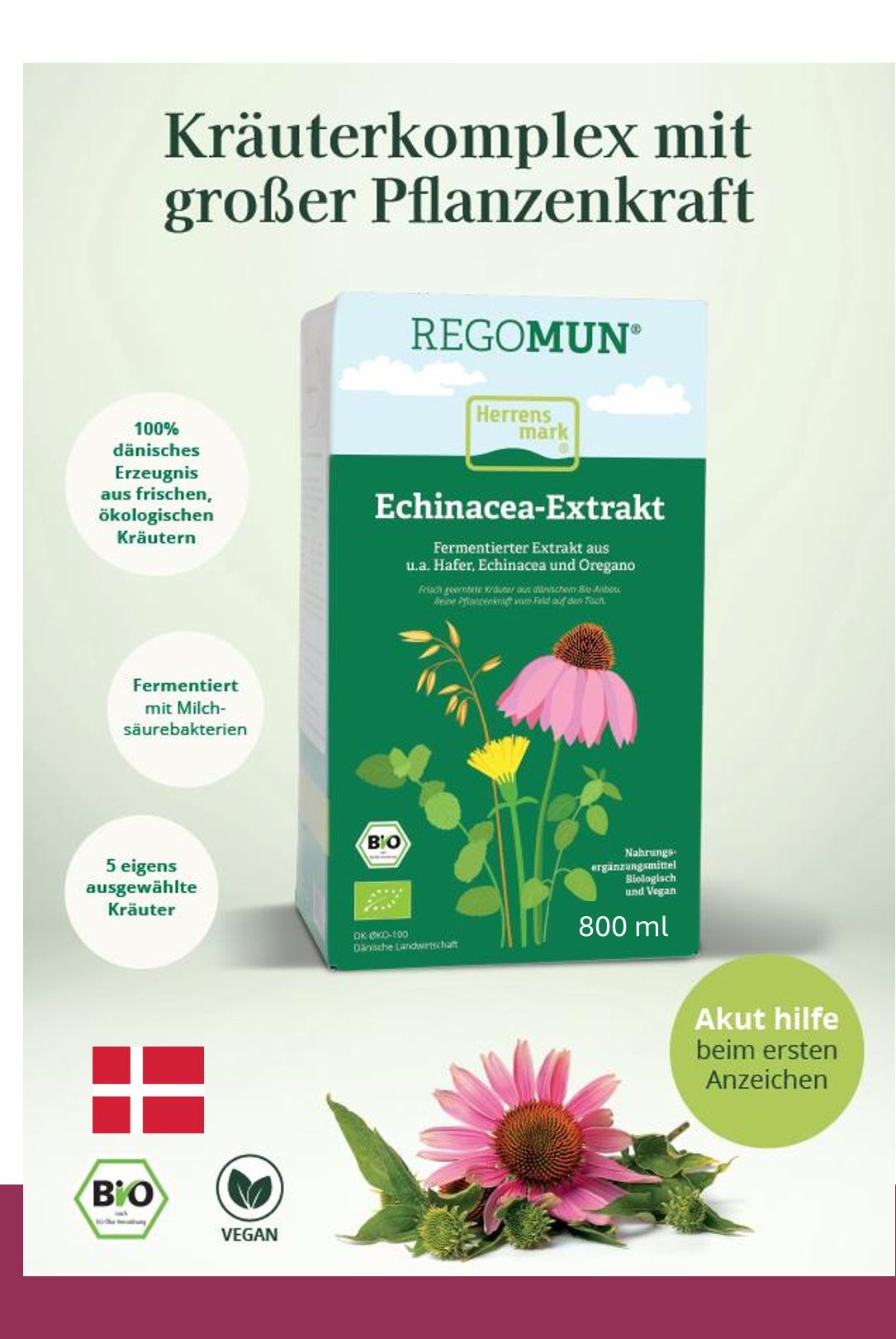 REGOMUN, 800 ml, Echinacea-Extrakt BIO