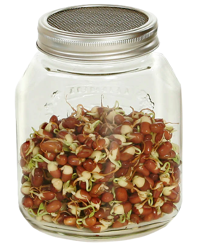 Sprossenglas, 1000 ml, mit Edelstahl-Sieb und Schraubring