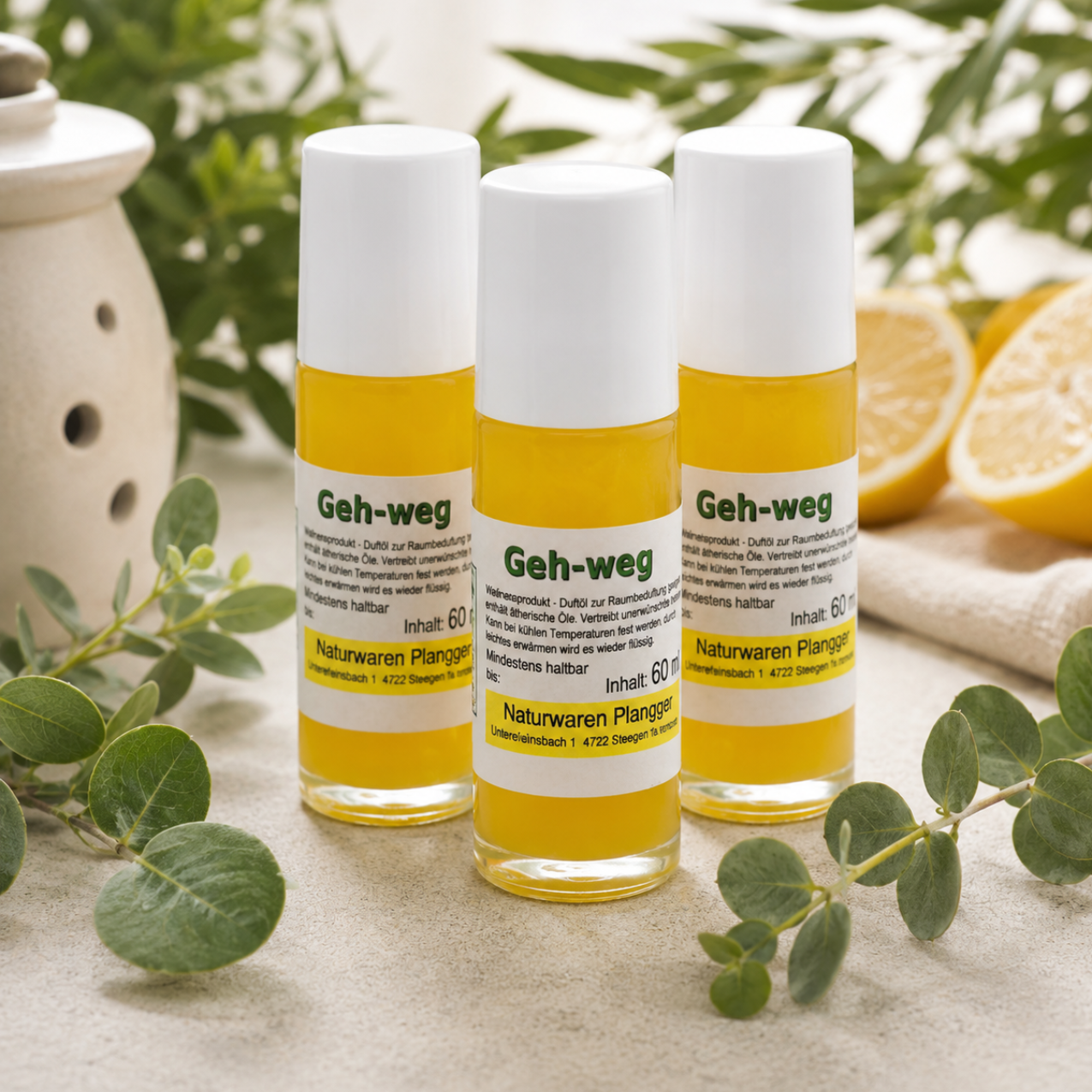 Geh-weg, 3-SET, 60 ml, Mückenschutz