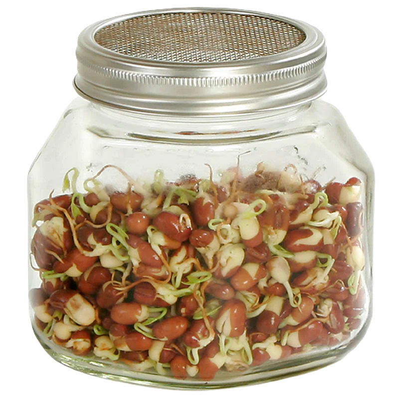 Sprossenglas, 750 ml - NEU -