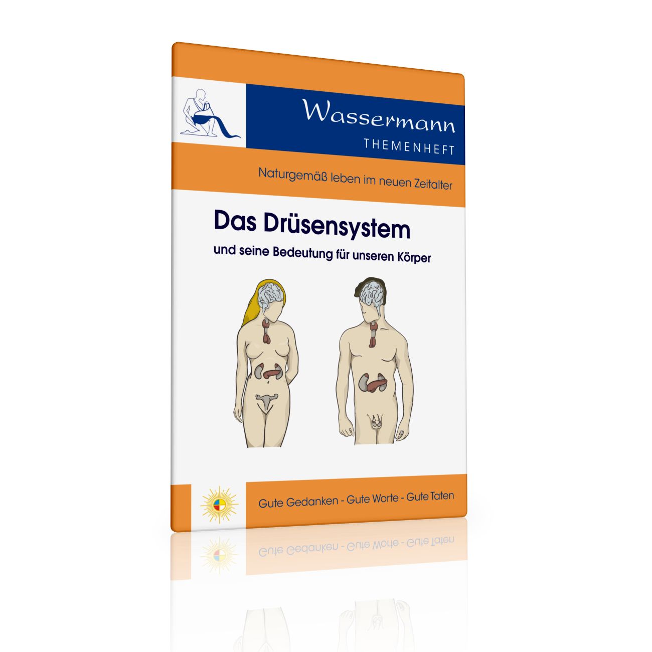 Drüsensystem, Broschüre (Sonderpreis wegen Druckfehlern)