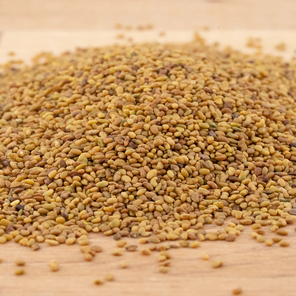 Alfalfa Keimsaat BIO,125 g