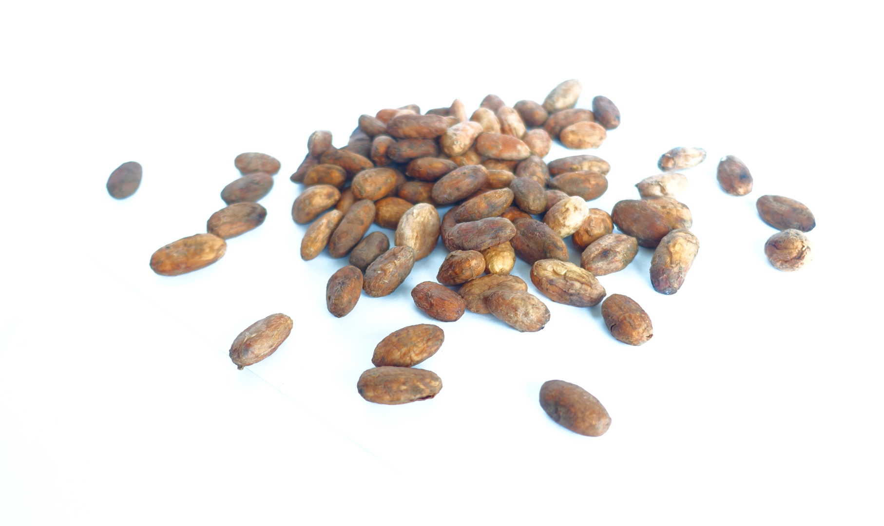 Kakaobohnen BIO, 500 g, roh