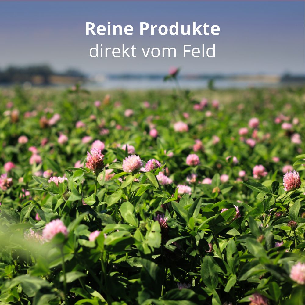 REGOMEO Herrens Mark, 1 L, Rotklee-Extrakt BIO