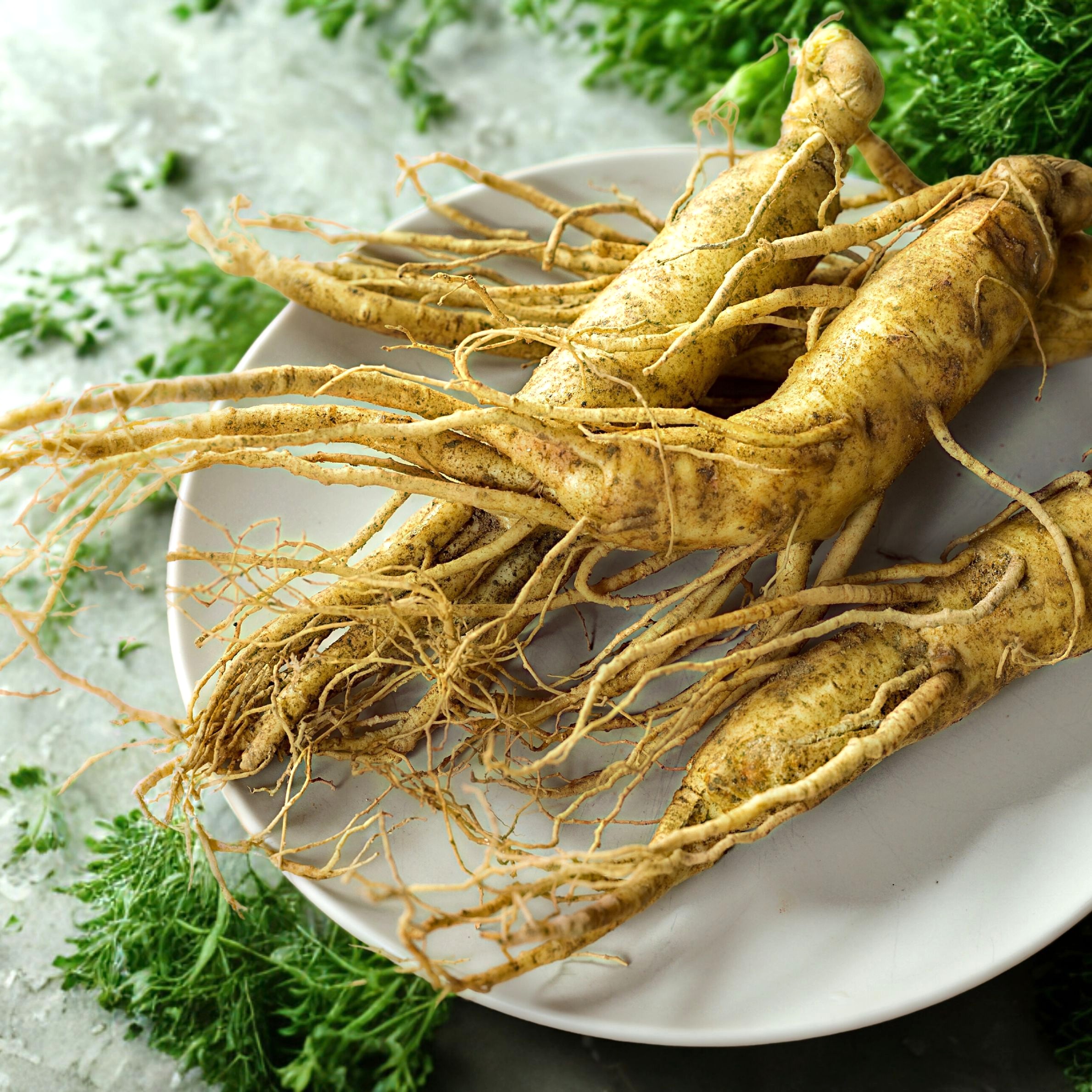 Ginsengwurzel  BIO, 50 g,  gemahlen, weiß