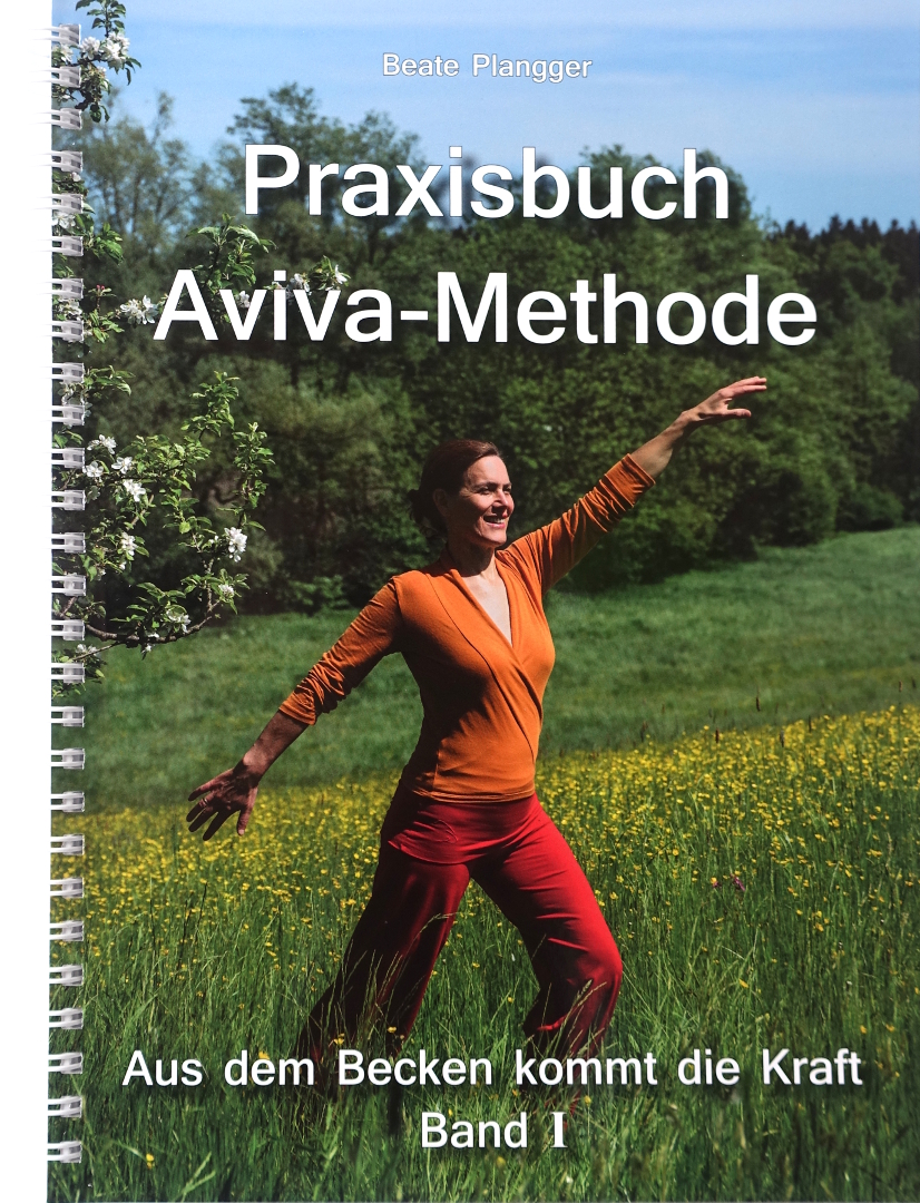 AVIVA Methode Band 1 (Set: Praxisbuch, CD, Kurzanleitung)