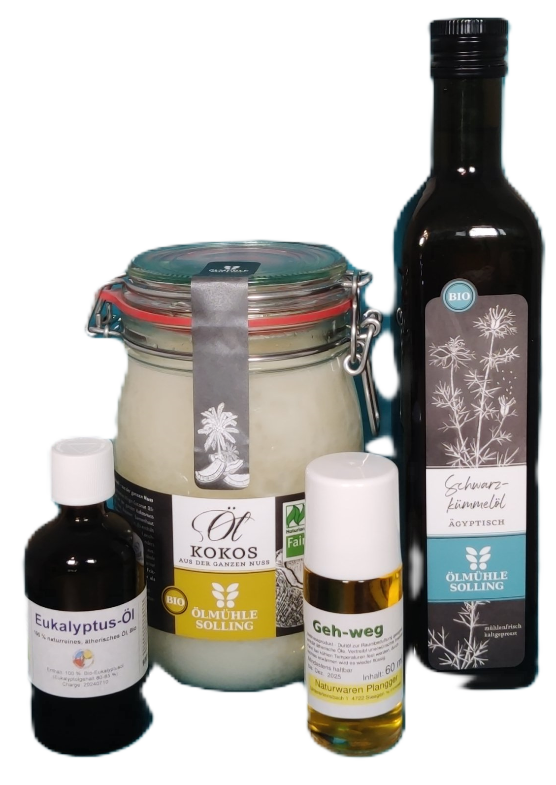Insektenschutz-SET